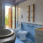 Il Pino Argentato *