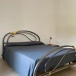 Il Pino Argentato Guest house