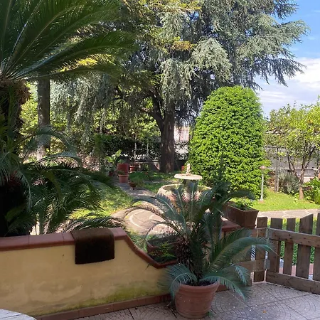 Guest house Il Pino Argentato